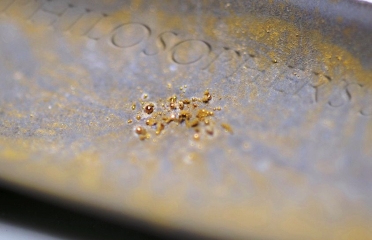 Researchers Discover Bacteria That Produces Pure Gold